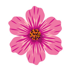 pink flower decoration