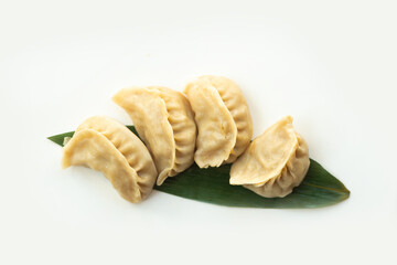 Gyoza dumplings Japan Food on white background