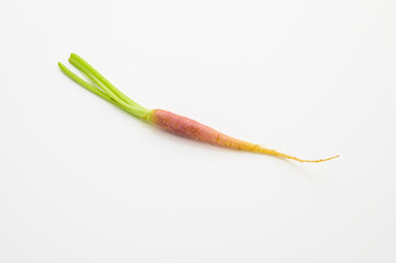 tiny pink carrot isolated on white background. tiny size. heathy and nutrition concepts. vitamin.