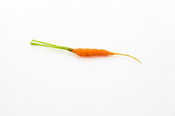 tiny orange carrot isolated on white background. tiny size. heathy and nutrition concepts. vitamin.