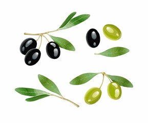 Set of olives on a white background. Stock illustration.