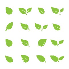 Fototapeta na wymiar unique green leaf symbol logo vector complete collection bundle