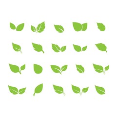 unique green leaf symbol logo vector complete collection bundle