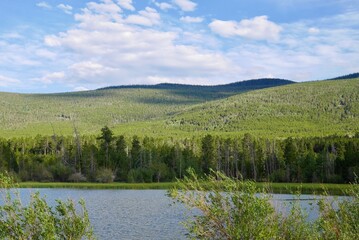 Ashley National Forest in Flaming Gorge National Recreation Area. Utah, USA.