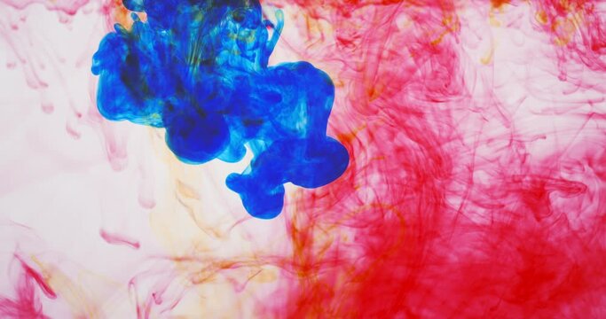 Fl&uuml;ssige Abstraktion, rote und blaue Tinte l&ouml;sen sich in Wasser auf, ein flie&szlig;ender organischer Hintergrund