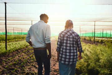 Keeping a close eye at things on the farm. Rearview shot of two young farmers working inside of a...