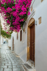 Fototapeta na wymiar Narrow street in Lindos town on Rhodes island, Dodecanese, Greece. Beautiful picturesque old vintage white houses with flowers. Famous travel destination in Southern Europe