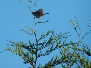 atterrissage réussi !