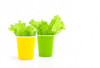 Yellow and green paper cups with lettuce leaves isolated on white background. Ecology healthy food concept