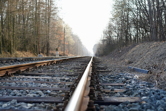 Detailed photo of an iron train track. We also see wooden sleepers. The railway is surrounded by tall trees.