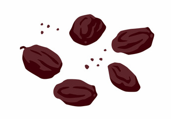 Set of drawn raisin, Vector illustration. Isolated elements