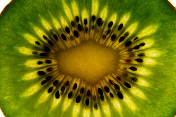 kiwi slice against light, close up view, green colored fruit