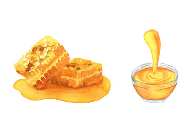 Honeycombs in a spot of honey, honey pouring into a cup, Hand painted watercolor