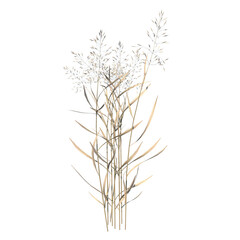 Obraz premium Front view of Plant (Dry tall grass 2) Tree white background 3D Rendering Ilustracion 3D 