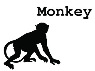 silhouette of a monkey on white background
