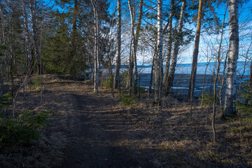 Walking on a path by Lake Mjøsa in spring.