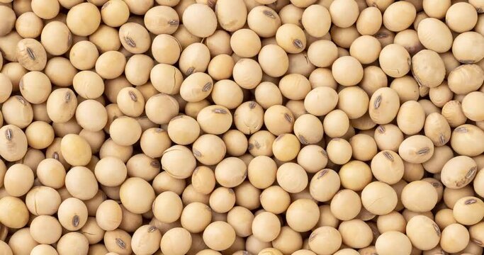 Closeup, top view of uncooked soy beans