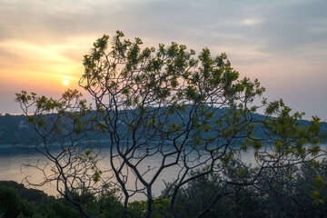Panorama lors d'un lever de soleil sur la presqu'île du Cap Ferrat depuis la petite batterie de Nice sur la Côte d'Azur