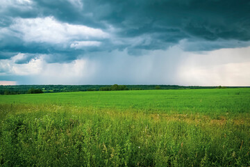 green landscape, field