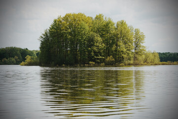 River surrounded by dense trees against a cloudy sky