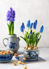 Creative floristic arrangement with blue grape hyacinth flowers and onion sets in the old vintage ceramic dishes. Homemade decoration for Easter. Copy space.