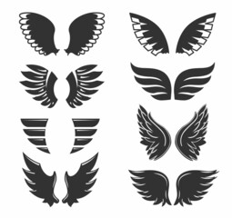 Fototapeta na wymiar Set of hand drawn bird or angel wings of different shape in open position. Contoured doodle