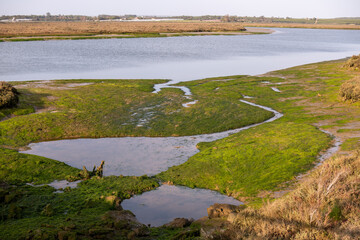 Landschaft Watt Wanderweg Sendero Marismas San Miguel El Rompido Huelva Spanien