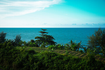 beautiful view of green trees by the sea