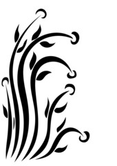 Pflanze