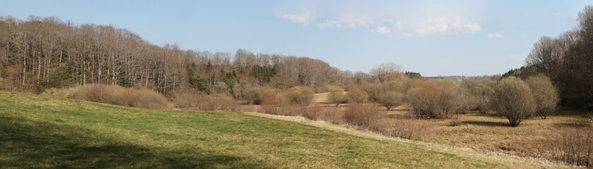tourbière