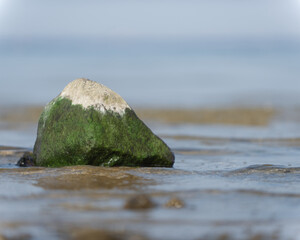 gr&uuml;ner Stein im Meer