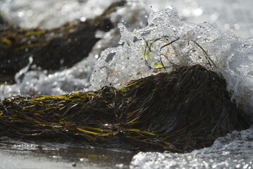 Wasser spritzt &uuml;ber Algen