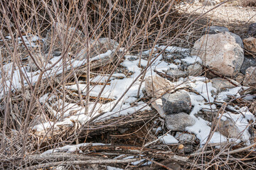 Las Vegas, Nevada, USA - February 23, 2010: Red Rock Canyon Conservation Area. closeup of snow on gray rock pieces set in dry wooden bushes.