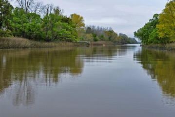 Paisaje isleño sobre el río