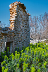 Fototapeta premium ruins of an old castle