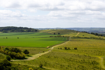 Fototapeta na wymiar landscape with field and blue sky, footpath across the field