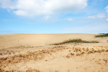 Sindu-ri Coastal Sand Hills in Taean-gun, South Korea.