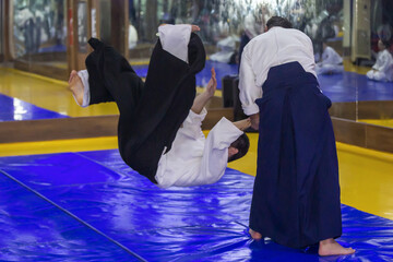 Selective focus shot of two caucasian men practicing aikido