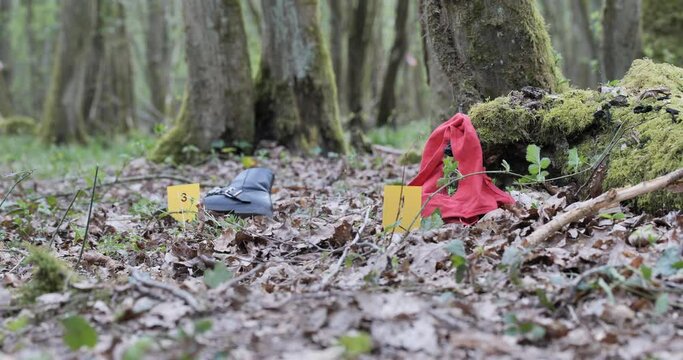 Agression sexuelle sur mineur