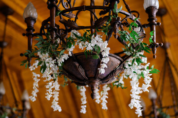 Close view of antique and forged chandelier with candlestick, decorated by artificial white flowers,