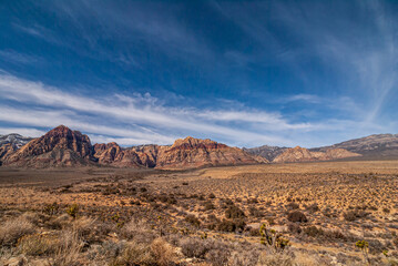 Las Vegas, Nevada, USA - February 23, 2010: Red Rock Canyon Conservation Area. Vast dry forest landscape with multi-color mountain range on horizon under blue cloudscape. Scrubs in front.