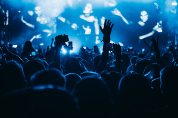 Naklejka na ściany i meble Concert crowd on a music concert