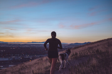 Adorable dog hiking with its owner