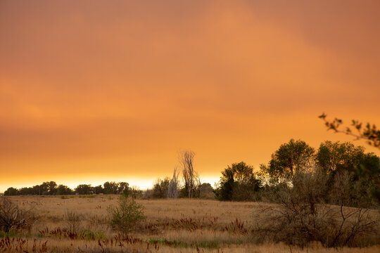 Summer wildfire smoke, 2020