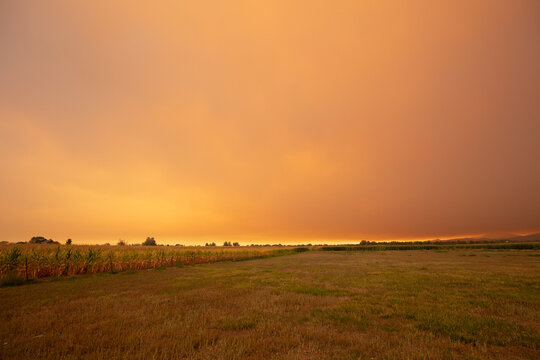 Summer wildfire smoke, 2020