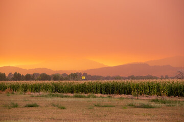 Summer wildfire smoke, 2020