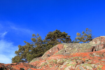 Fototapeta premium Red rocky cliffs during the winter or spring. Blue sky. One day in February or Mars. Stockholm, Sweden, Europe.