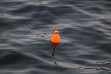 bobber floating in the water  © Alexandrovich