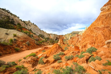 Cottonwood Canyon Road, Utah-USA