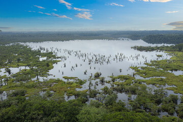 A large lake in Cuyabeno national park in the Amazon of Ecaudor